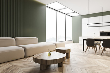 Green living room and kitchen interior