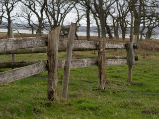 Old worn farm fence
