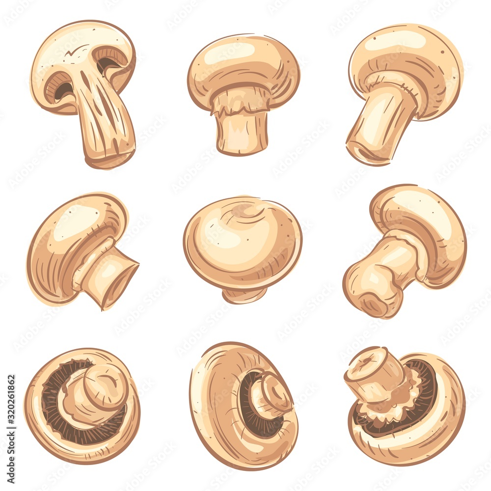 Poster champignon icons set. cartoon set of champignon vector icons for web design