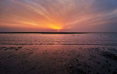 瀬戸内海の夕焼け。渡り鳥と夕日。