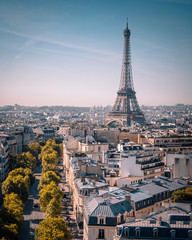 Eiffel tower morning