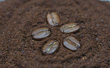Coffee beans on a background of freshly ground coffee