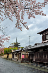京都　ねねの道