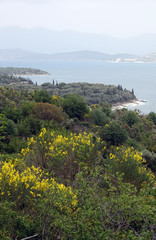 Küste bei Kalami af Korfu