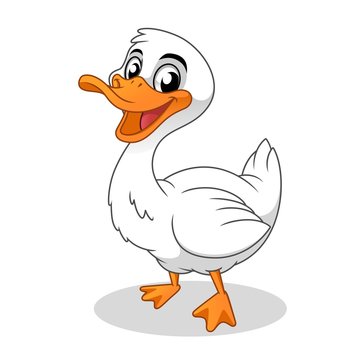 Happy Duck, Bird Animal, Cartoon Vector Illustration Mascot, in Isolated White Background.