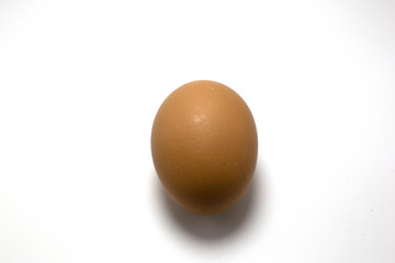 egg on white background
