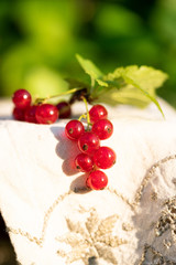 A branch of red currant lies on a white towel with embroidery on a background of greenery on a sunny day