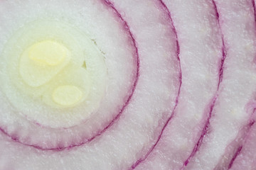 cut red onion rings closeup macro view