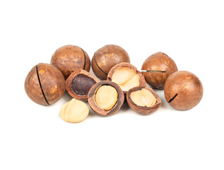 Macadamia nut isolated