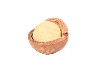 Macadamia nut isolated