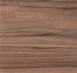 Texture of sanded raw black walnut wood without finish