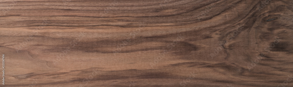 Wall mural Texture of sanded raw black walnut wood without finish