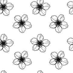 Floral seamless pattern with hand drawn spring cherry flowers. Vector illustration in sketch style isolated on white.