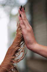 handshake between woman and pretty puppy high five - teamwork between girl dog