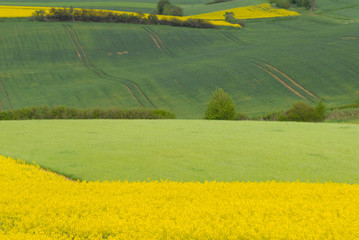 landscape around Hanover
