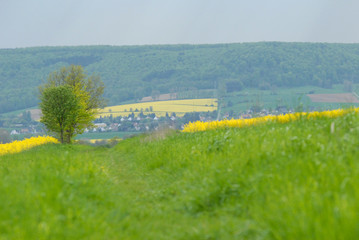 landscape around Hanover