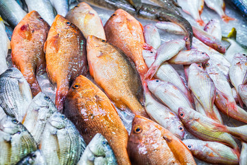 Fish-market-in-Hong-Kong-China