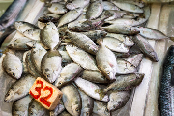 Fish-market-in-Hong-Kong-China