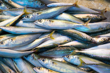 Obraz premium Fish-market-in-Hong-Kong-China