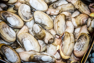 Fish-market-in-Hong-Kong-China