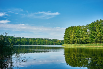Fototapeta na wymiar View from the shore of a quiet lake situated in the middle of a dense deciduous forest in Kujavia-Pomerania, Poland