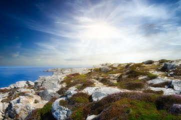 Felsen an der Atlantikküste in der Bretagne