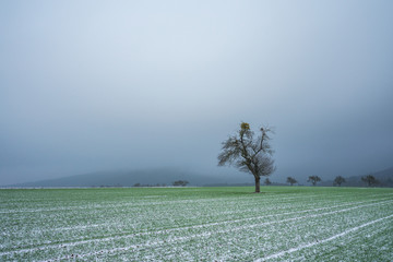 Raureife Landschaft