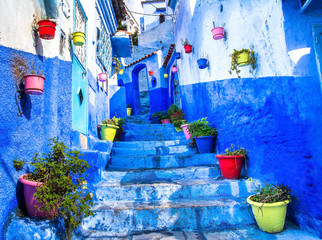 Beautiful blue walls with bright doors and colorful flower pots on the walls on a sunny day, Chefchaouen city medina in Morocco