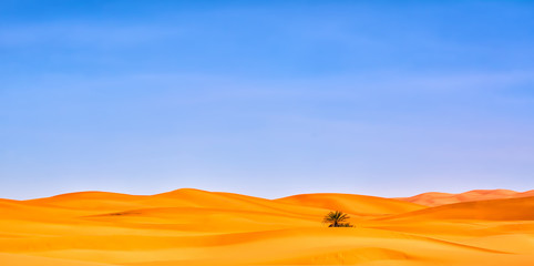 Fototapeta na wymiar Amazing view of sand dunes in the Sahara Desert. Location: Sahara Desert, Merzouga, Morocco. Artistic picture. Beauty world.