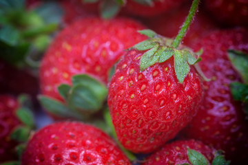 Strawberry berries close up. Visible structure and small details. Small drops of water.