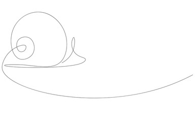 Snail on white background vector illustration	