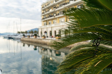 Fototapeta na wymiar Palm tree branch against the backdrop of the sea, yachts and the hotel