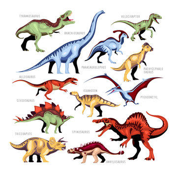 Dinosaur Color Cartoon Set