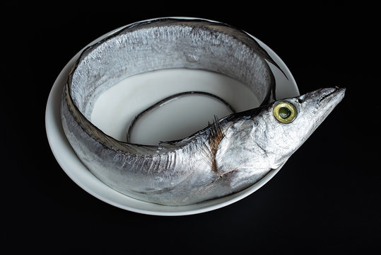 One fresh band fish on black background