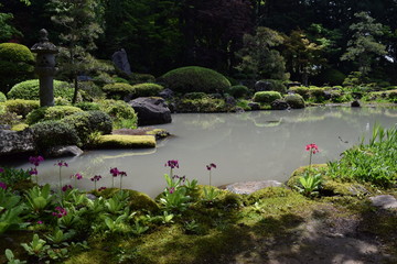 Fototapeta premium 日本庭園