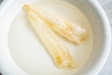 Traditional health and nourishing food Maw, catfish glue soaked in water