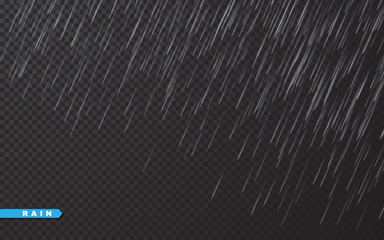 Rain drops on transparent background. Falling water drops. Nature rainfall. Vector illustration