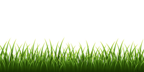 Fototapeta na wymiar Green grass border set on white background. Vector Illustration