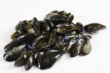 moules crues sur un fond blanc