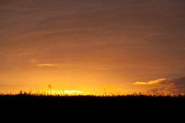 Beautiful colorful gradient sunset over field. Nature landscape sunset background