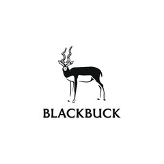 Blackbuck logo design. Antelop india silhoutte.