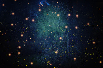 Fototapeta premium Abstrakcyjny i magiczny obraz Firefly lecącego w nocnym lesie. Koncepcja bajki