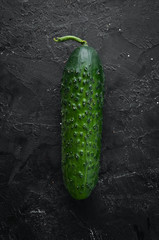 Fresh green cucumber on black stone background. Top view. Free space for your text.