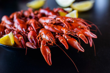 red crawfish with lemon on dark wood table