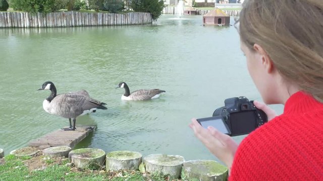 Young Woman Points a camera at a goose.