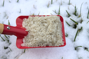 Rote Schaufel mit Streusalz vor dem Schnee