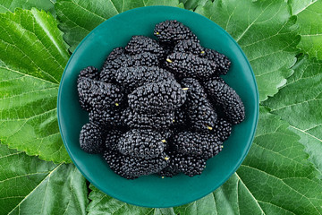 Fresh mulberry and mulberry leaves