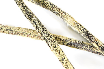 White / yellow mould or mildew growing on vanilla sticks stored improperly in wet and cold fridge -...