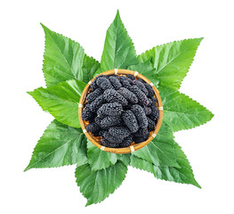 Fresh black mulberry and mulberry leaves on a saucer on white background