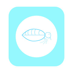 vector icon, of small flea insect